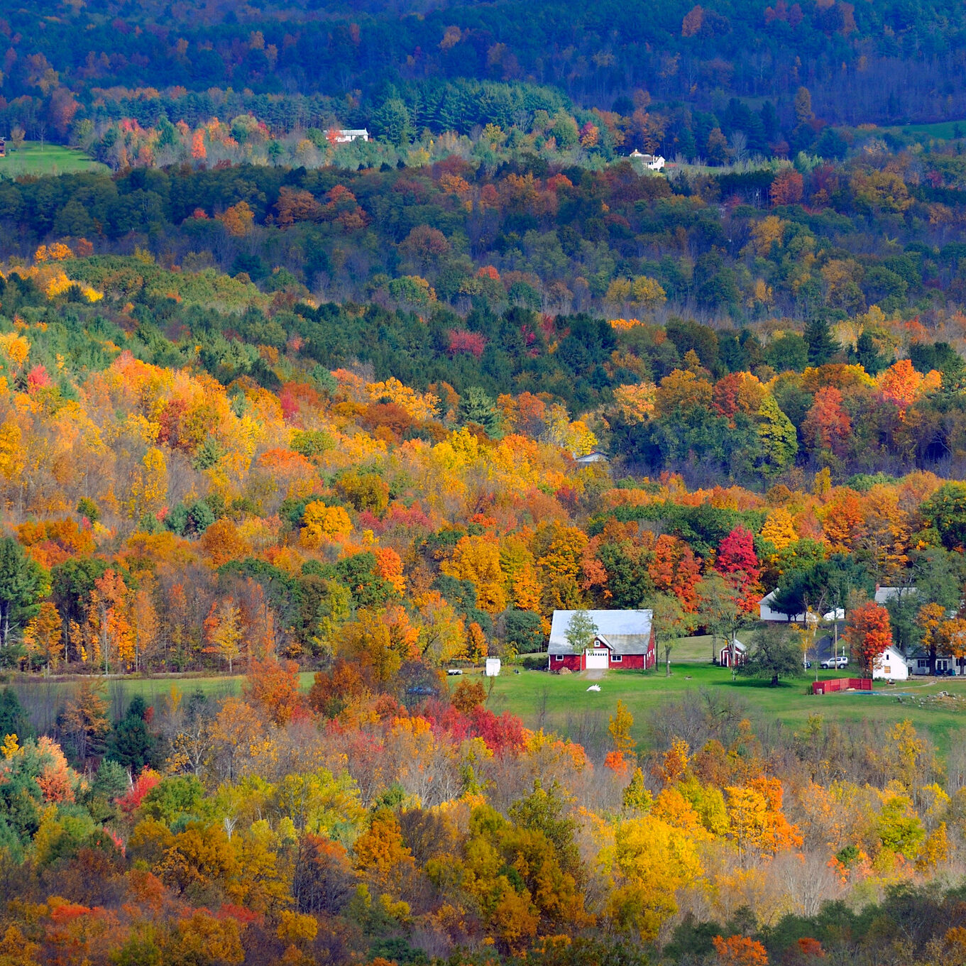 Catskills Fall